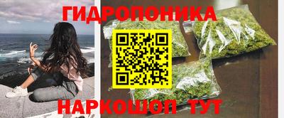 гидра Балахна