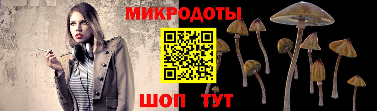 Псилоцибиновые грибы мицелий  Вход с VPN  Городец  Псилоцибиновые грибы прущие грибы 
